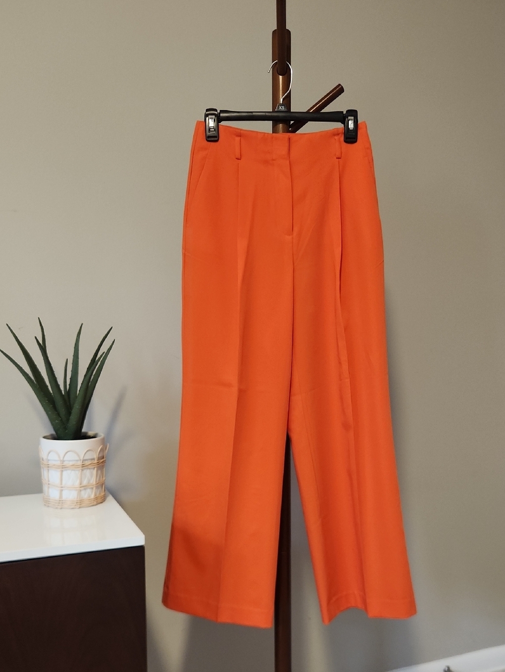 Ann Taylor Pleated Wide-Leg Pants